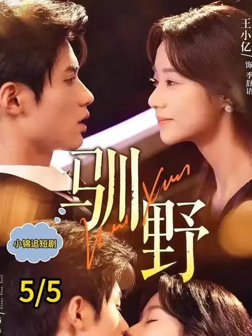光影四：片库留影